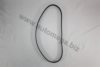 GM 09128725 Timing Belt